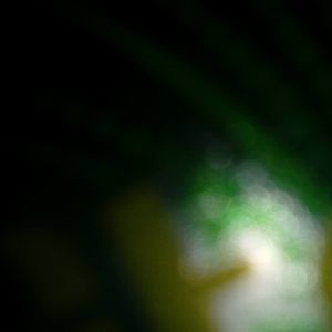 Meet your Posher, Xavier